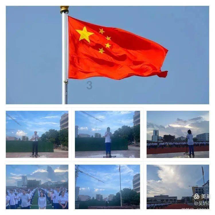 植物大战僵尸8